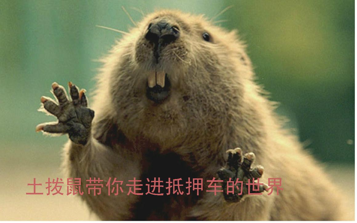 车大本不在怎么做贷款(用车大本贷款安全吗)? (http://www.qacrysj.cn/) 知识问答 第1张