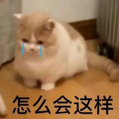 车抵押app(久久泰抵押车app)? (http://www.qacrysj.cn/) 知识问答 第1张