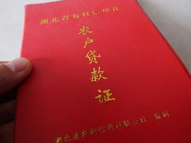 车子想贷款怎么贷(车贷款好了怎么办手续)? (http://www.qacrysj.cn/) 知识问答 第1张