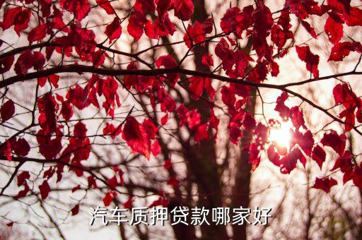 车子绿本抵押贷款平台(车抵押绿本贷款有什么套路)? (http://www.qacrysj.cn/) 知识问答 第3张