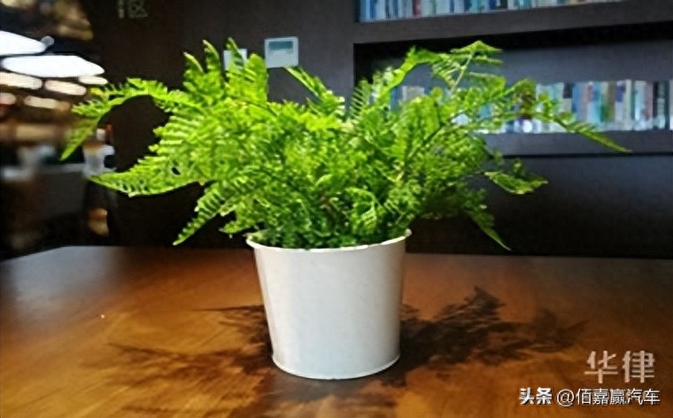 押车借钱需要啥手续(押车贷款需要什么资料)? (http://www.qacrysj.cn/) 知识问答 第1张