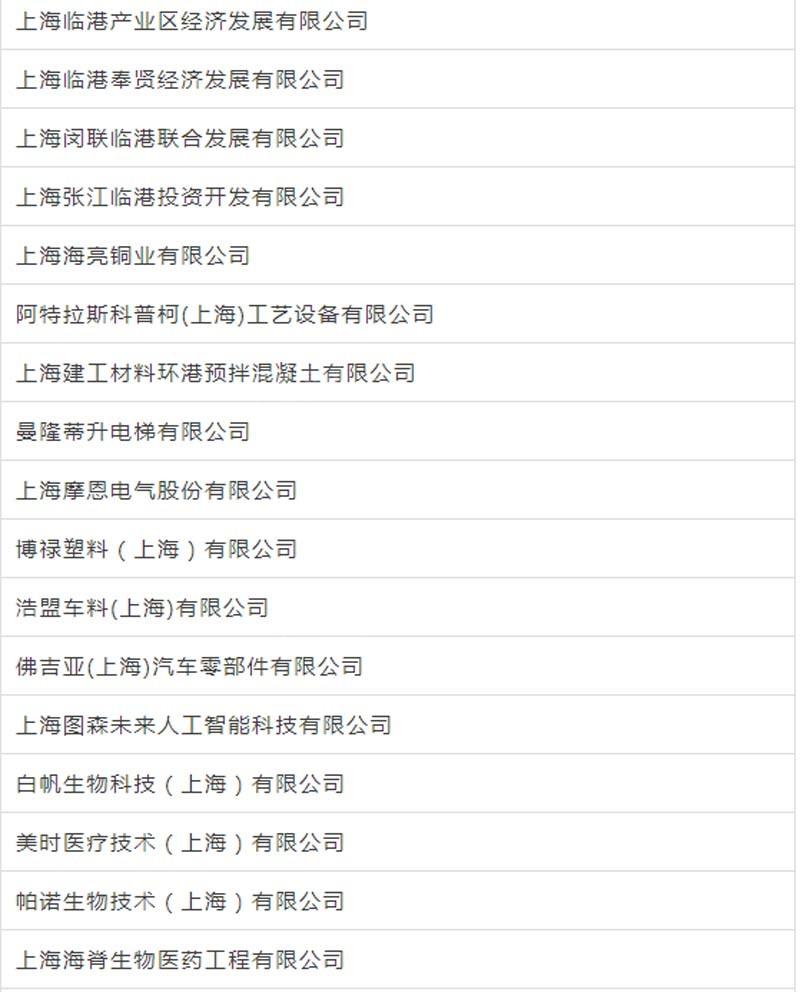 临港新片区车辆抵押贷款(上海临港新片区)? (http://www.qacrysj.cn/) 知识问答 第13张