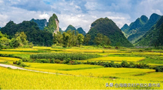 车辆抵押融资(土地违规抵押融资整改)? (http://www.qacrysj.cn/) 知识问答 第2张