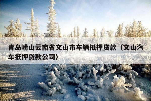苏州金山汽车抵押融资(涉土地违规抵押融资)? (http://www.qacrysj.cn/) 知识问答 第1张