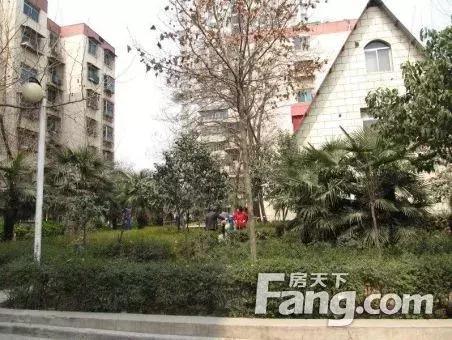 车辆抵押融资哪个平台好(土地违规抵押融资)? (http://www.qacrysj.cn/) 知识问答 第2张