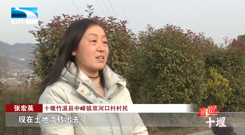 汽车抵押融资哪里好(车辆抵押融资)? (http://www.qacrysj.cn/) 知识问答 第11张