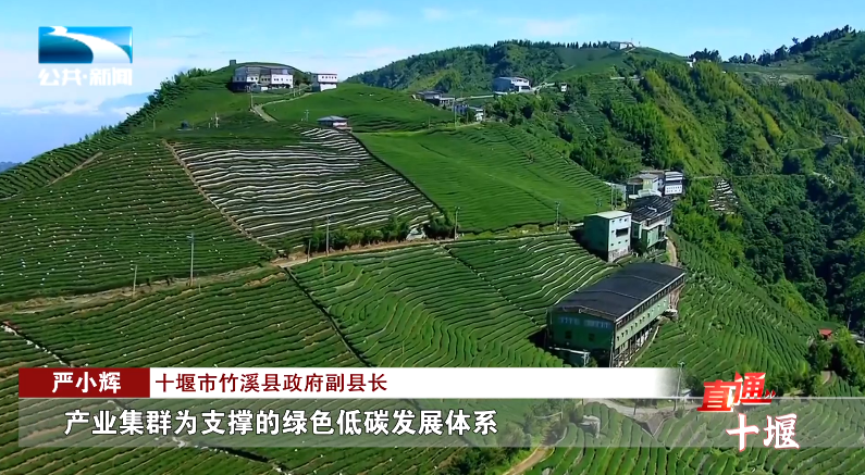 汽车抵押融资哪里好(车辆抵押融资)? (http://www.qacrysj.cn/) 知识问答 第15张