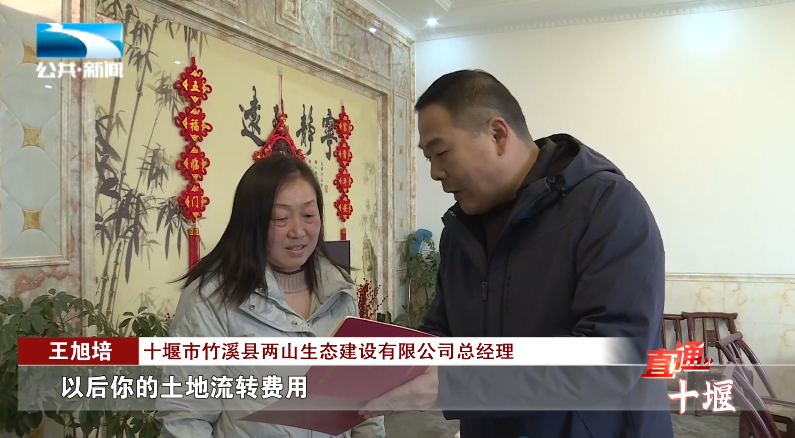 汽车抵押融资哪里好(车辆抵押融资)? (http://www.qacrysj.cn/) 知识问答 第10张
