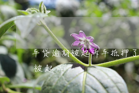 车子抵押贷款怎么贷(抵押贷款汽车)? (http://www.qacrysj.cn/) 知识问答 第2张