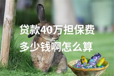 贷款担保公司一般怎么收费(担保收费贷款一般公司有哪些)? (http://www.qacrysj.cn/) 知识问答 第1张