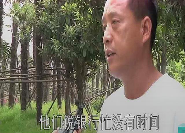 抵押汽车绿本能贷多少钱(车辆抵押绿本可以借出来吗)? (http://www.qacrysj.cn/) 知识问答 第2张