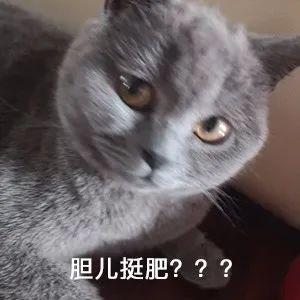 闵行区那里有车子抵押贷款的(上海汽车抵押贷)? (http://www.qacrysj.cn/) 知识问答 第1张