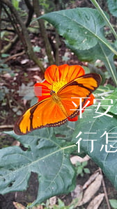 平安车主贷款怎么贷需要什么条件(平安车主贷要去银行弄吗)? (http://www.qacrysj.cn/) 知识问答 第2张