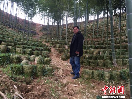 金山区抵押车贷(抵押山区贷车金怎么处理)? (http://www.qacrysj.cn/) 知识问答 第1张