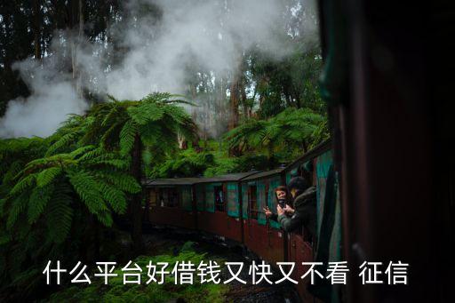 不查征信的网贷(网贷征信查多了多久能恢复)? (http://www.qacrysj.cn/) 知识问答 第1张