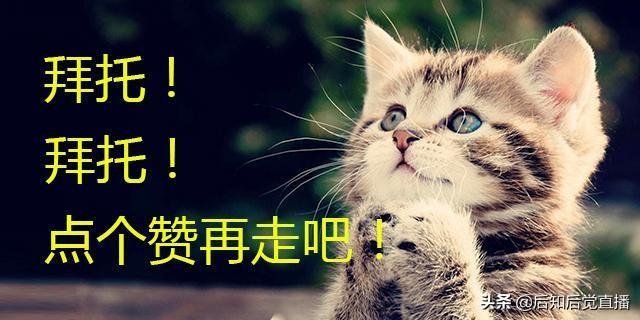 车抵押贷款不押车(车抵押贷款)? (http://www.qacrysj.cn/) 知识问答 第2张