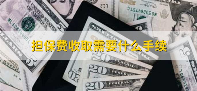 贷款担保公司一般怎么收费(担保公司贷款服务费收取标准)? (http://www.qacrysj.cn/) 知识问答 第2张