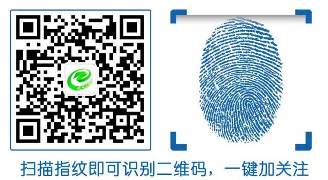 二手车抵押贷款车需要开过去吗(买二手车有抵押贷款能过户吗)? (http://www.qacrysj.cn/) 知识问答 第2张