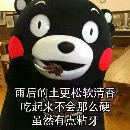 上海车辆抵押贷款机构(车辆抵押贷款上海)? (http://www.qacrysj.cn/) 知识问答 第2张