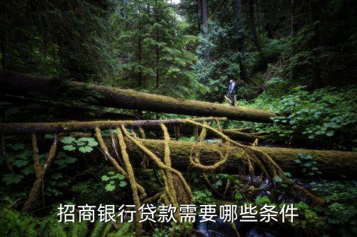 行驶证贷款(机动车行驶证贷款)? (http://www.qacrysj.cn/) 知识问答 第2张