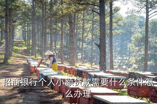 行驶证贷款(机动车行驶证贷款)? (http://www.qacrysj.cn/) 知识问答 第3张