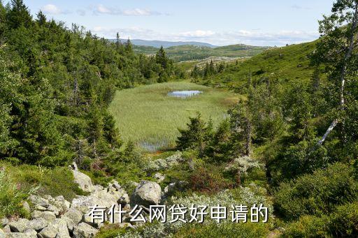 正规网络贷款平台哪个靠谱好申请(贷款正规的平台)? (http://www.qacrysj.cn/) 知识问答 第2张