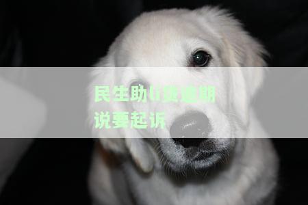助贷公司贷款没批下来(助贷批贷款下来没公司怎么办)? (http://www.qacrysj.cn/) 知识问答 第1张