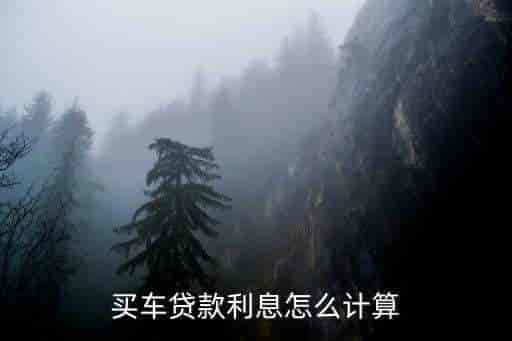 车贷利率(车贷了利率)? (http://www.qacrysj.cn/) 知识问答 第3张