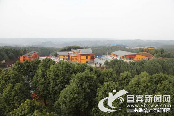宜宾汽车抵押贷款(宜宾抵押车价格)? (http://www.qacrysj.cn/) 知识问答 第2张