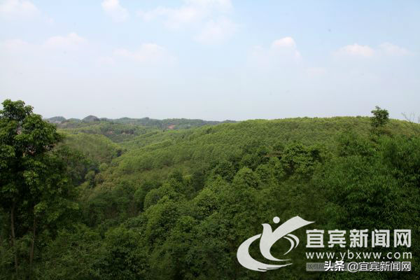 宜宾汽车抵押贷款(宜宾抵押车价格)? (http://www.qacrysj.cn/) 知识问答 第3张