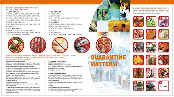 沪牌可以贷款吗(贷款沪牌可以买车吗)? (http://www.qacrysj.cn/) 知识问答 第17张