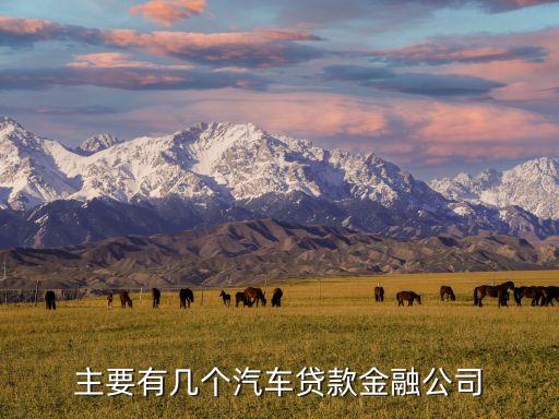 上海车辆贷款公司(上海汽车贷款公司业务)? (http://www.qacrysj.cn/) 知识问答 第1张