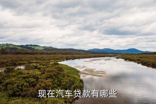 上海车辆贷款公司(上海汽车贷款公司业务)? (http://www.qacrysj.cn/) 知识问答 第3张