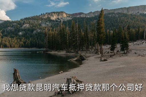 上海车子抵押贷款哪里可以做(上海的抵押车能买吗)? (http://www.qacrysj.cn/) 知识问答 第2张