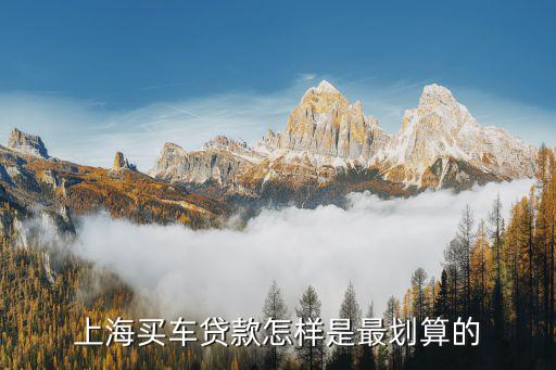 上海车牌贷款怎样申请(上海车牌贷款申请了能取消吗)? (http://www.qacrysj.cn/) 知识问答 第2张