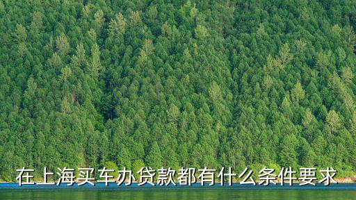 上海车牌贷款怎样申请(上海车牌贷款申请了能取消吗)? (http://www.qacrysj.cn/) 知识问答 第3张