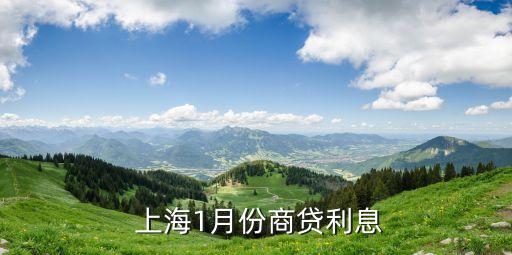 上海车贷利率是多少(上海车子贷款)? (http://www.qacrysj.cn/) 知识问答 第2张