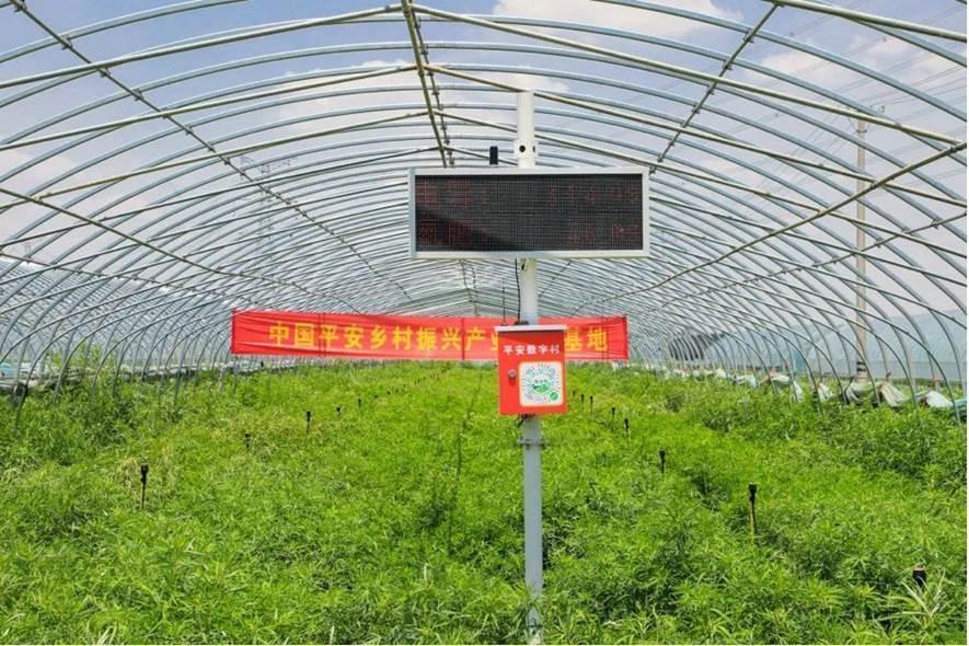 平安普惠(普惠平安保险)? (http://www.qacrysj.cn/) 知识问答 第21张