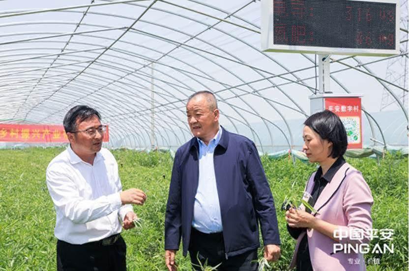 平安普惠(普惠平安保险)? (http://www.qacrysj.cn/) 知识问答 第22张