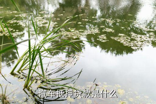 营运车辆可以抵押贷款吗(抵押营运贷款车辆可以过户吗)? (http://www.qacrysj.cn/) 知识问答 第2张