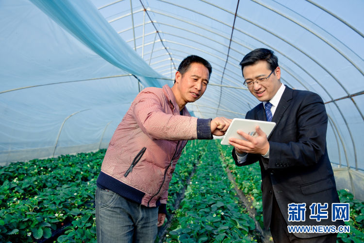 车抵贷不看征信哪几家好(汽车抵押贷款征信)? (http://www.qacrysj.cn/) 知识问答 第1张