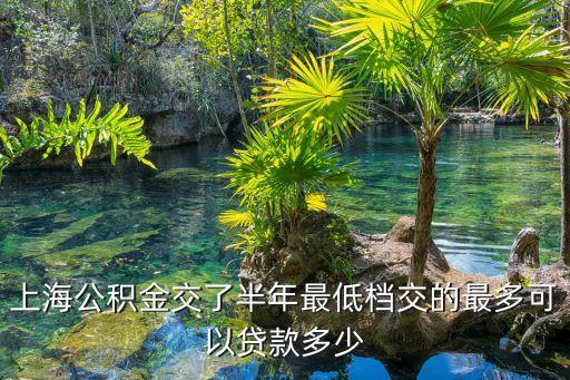 车辆抵押贷款 上海(抵押上海贷款车辆怎么办)? (http://www.qacrysj.cn/) 知识问答 第3张