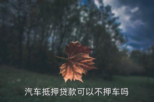 车辆抵押贷款哪个平台利息最低(专业汽车抵押贷款利息低)? (http://www.qacrysj.cn/) 知识问答 第2张
