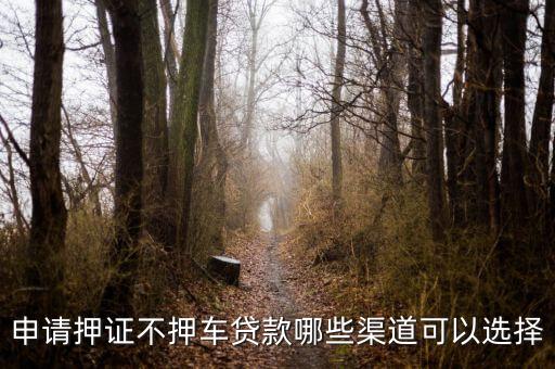 车子抵押贷款不押车(抵押车贷款风险大吗)? (http://www.qacrysj.cn/) 知识问答 第3张