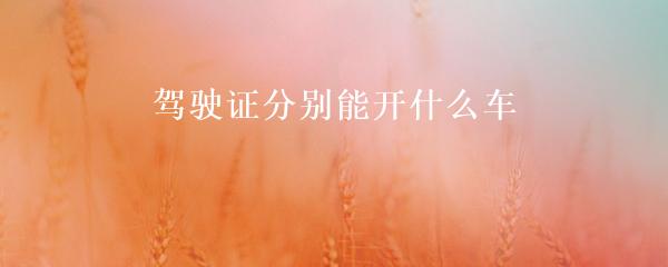 民间贷款公司(民间借贷的公司)? (http://www.qacrysj.cn/) 知识问答 第3张