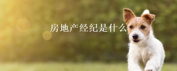 民间贷款公司(民间借贷的公司)? (http://www.qacrysj.cn/) 知识问答 第22张