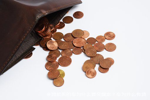 拿车的绿本怎么贷款(贷款车绿本拿到手了该怎么办)? (http://www.qacrysj.cn/) 知识问答 第1张