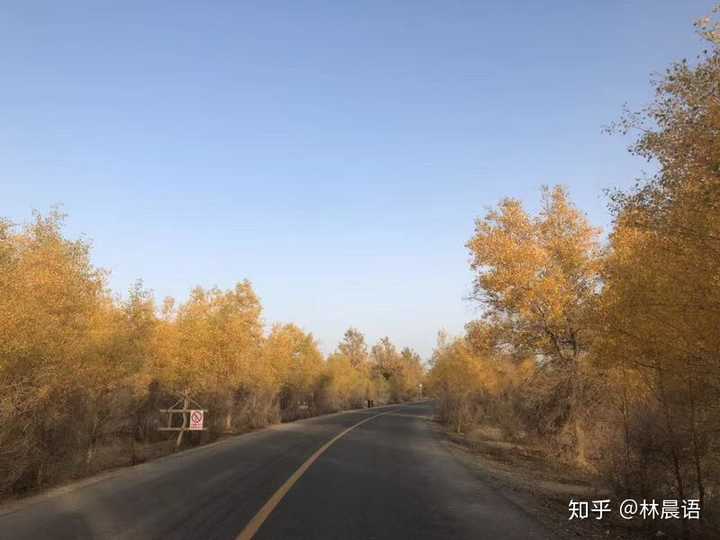 有车就能申请的网贷(有网贷买车贷款能批下来吗)? (http://www.qacrysj.cn/) 知识问答 第1张