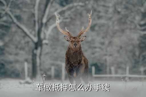 办理车辆抵押贷款需要什么资料(抵押贷款车辆办理资料需要哪些)？ (http://www.qacrysj.cn/) 知识问答 第1张