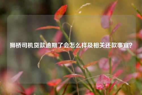 狮桥车抵贷(狮桥车抵贷利率是多少)？ (http://www.qacrysj.cn/) 知识问答 第1张